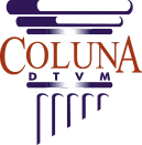 Logotipo COLUNA S.A. DTVM